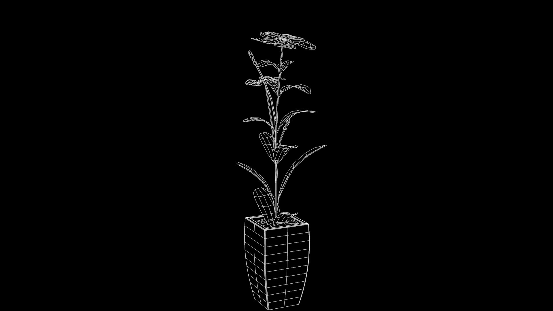 Fhower Vinca rigged 3D model_5