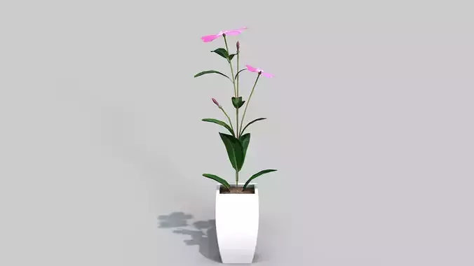 Fhower Vinca rigged 3D model