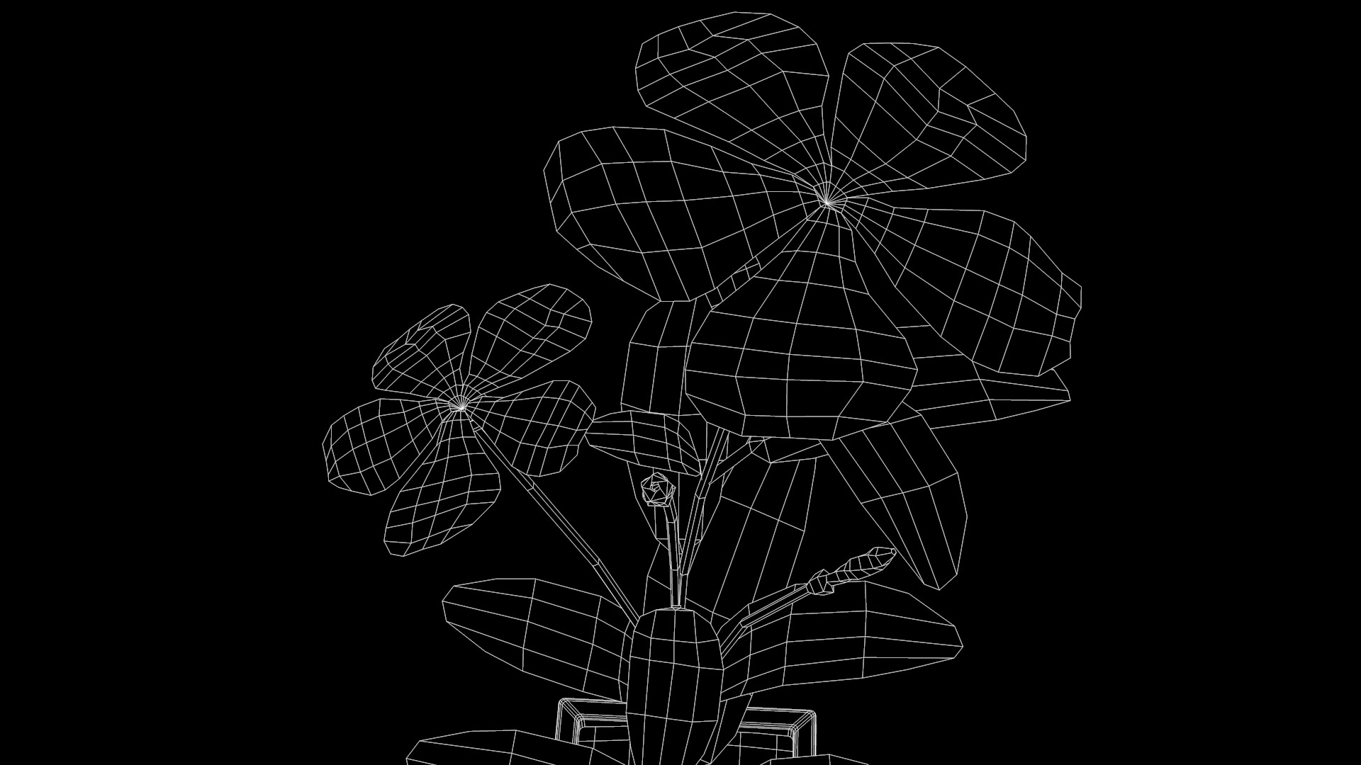 Fhower Vinca rigged 3D model_8