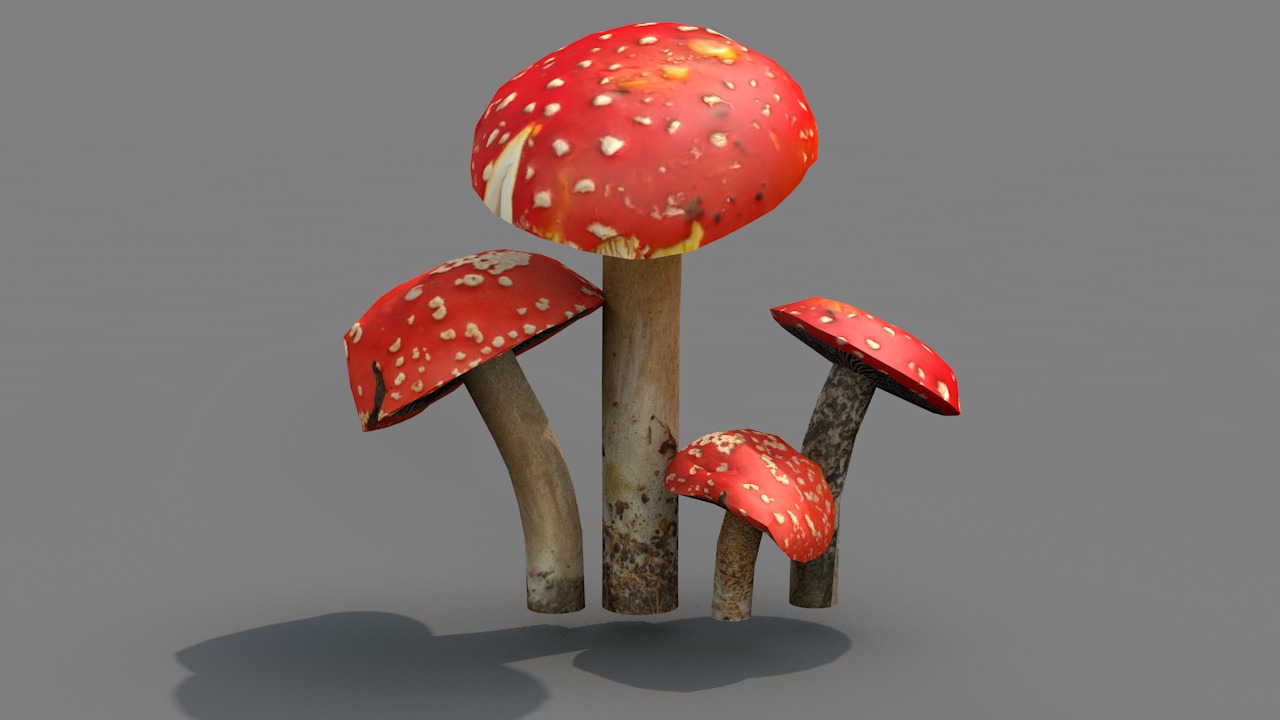 Red Cap Mushrooms 3D model_5