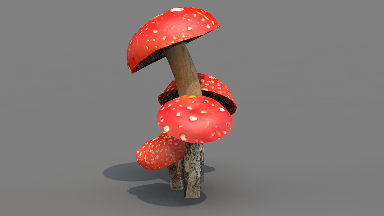 Red Cap Mushrooms 3D model_2