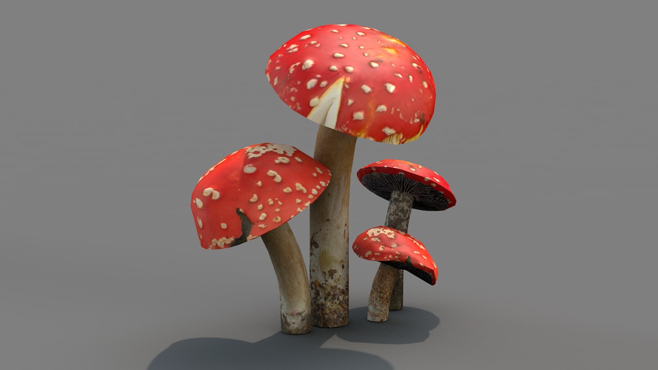Red Cap Mushrooms 3D model_6
