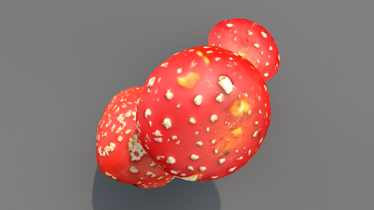 Red Cap Mushrooms 3D model_7