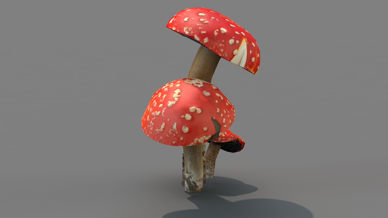 Red Cap Mushrooms 3D model_4