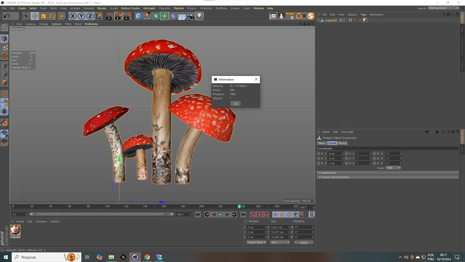 Red Cap Mushrooms 3D model_11