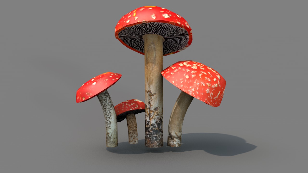 Red Cap Mushrooms 3D model_3