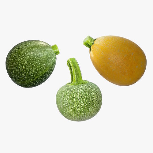 squash round Low-poly 3D model