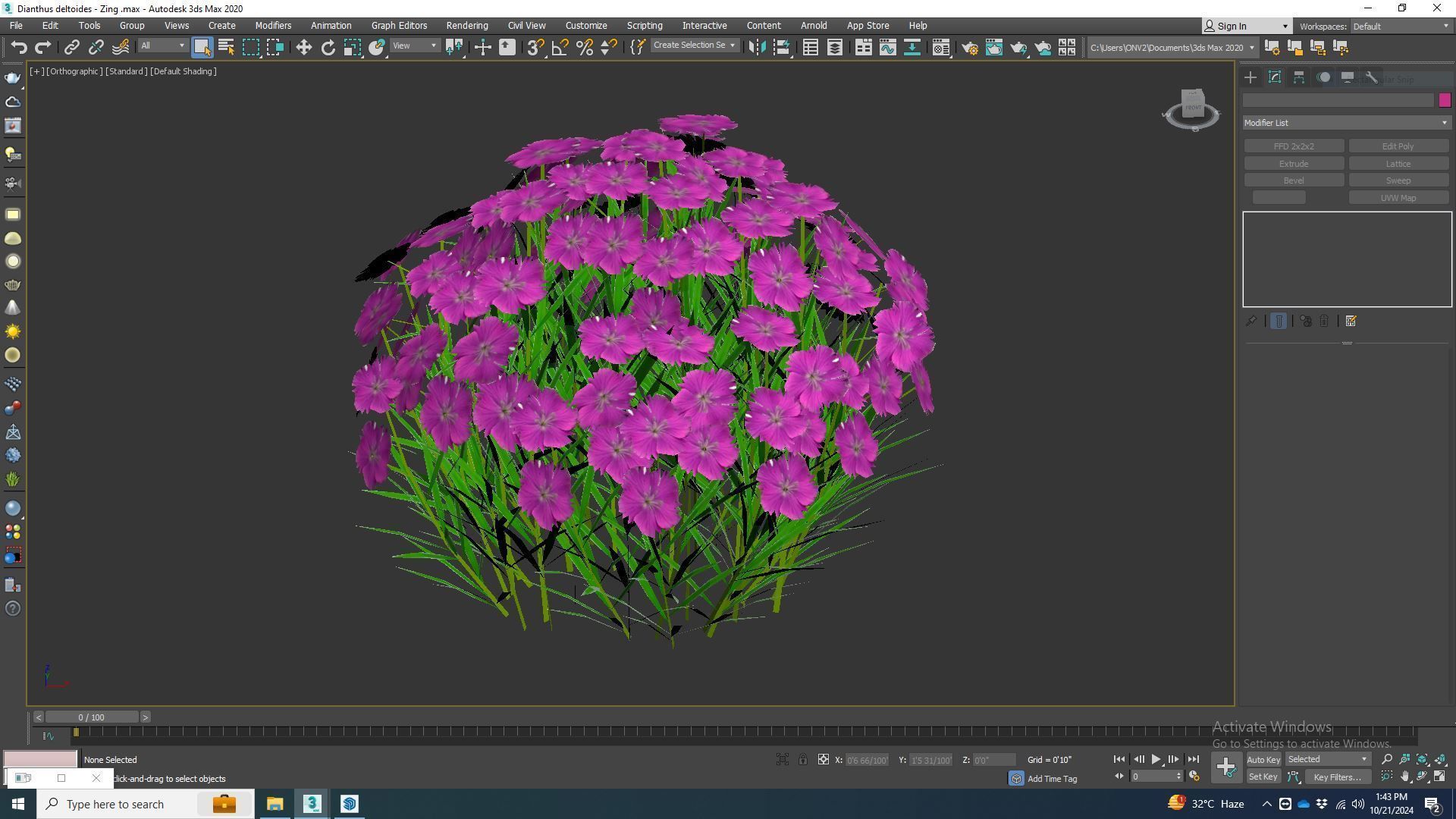 Plant   Dianthus deltoides - Zing   3D model_5