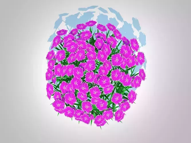 Plant   Dianthus deltoides - Zing  