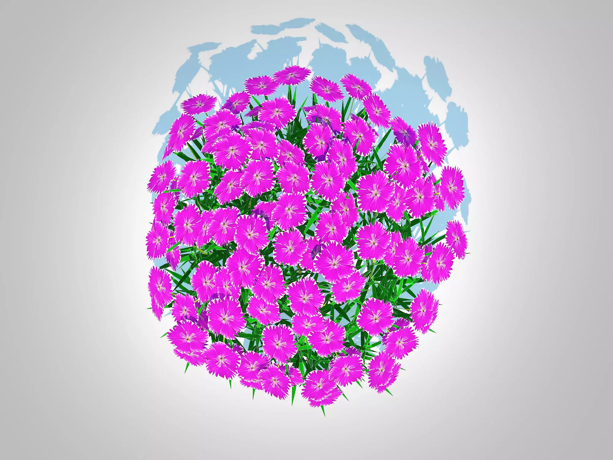 Plant   Dianthus deltoides - Zing   3D model_0