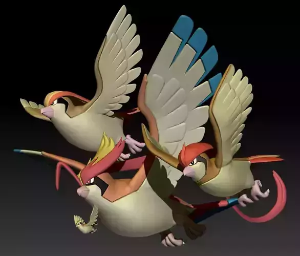 Pokemon Pidgey Pidgeotto Pidgeot MegaEvolution