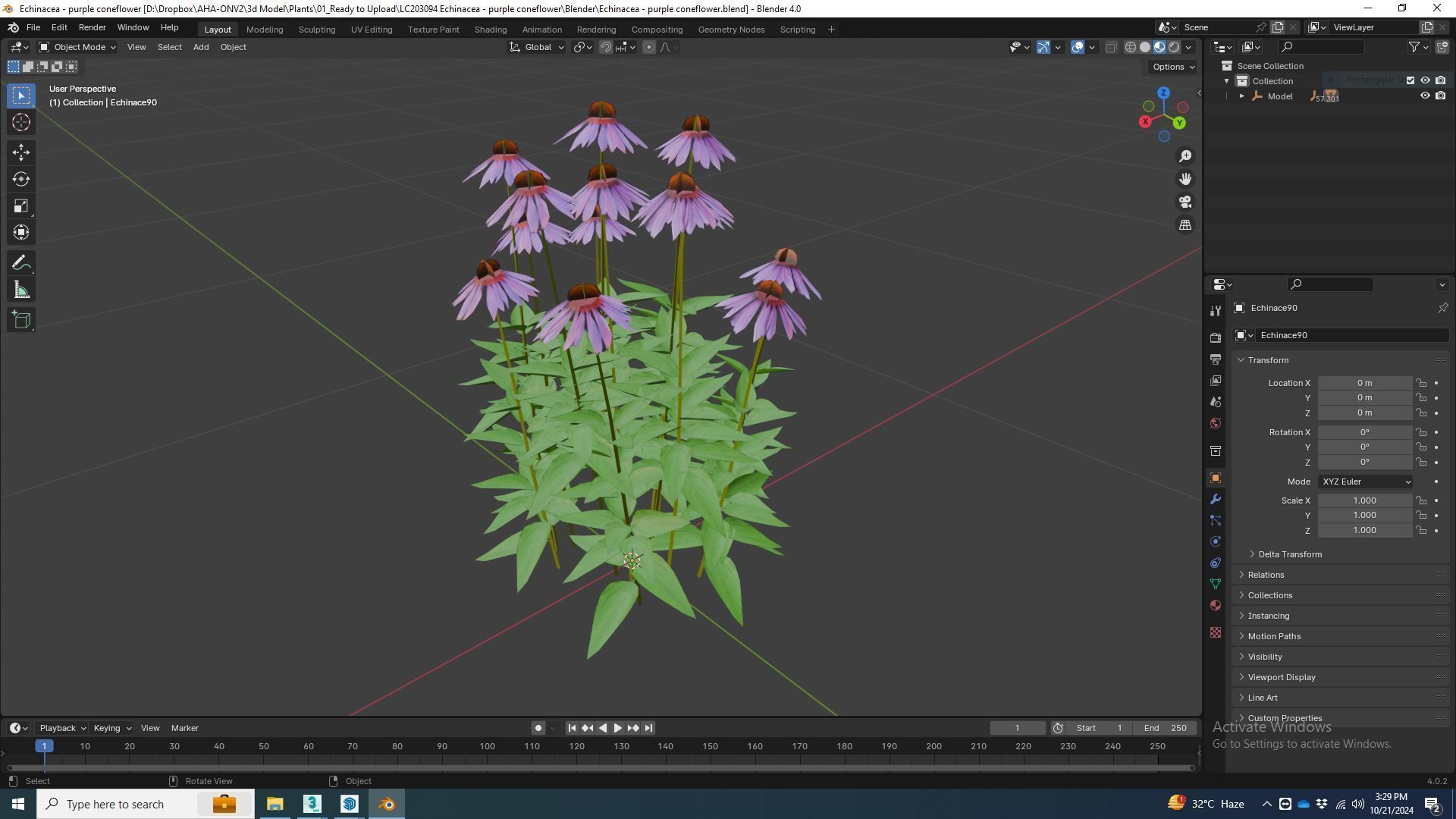 Plant  Echinacea - purple coneflower Low-poly 3D model_5