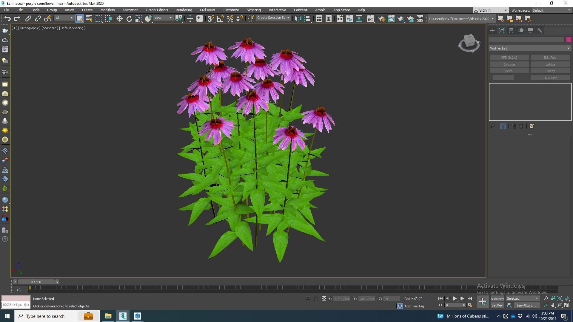 Plant  Echinacea - purple coneflower Low-poly 3D model_6