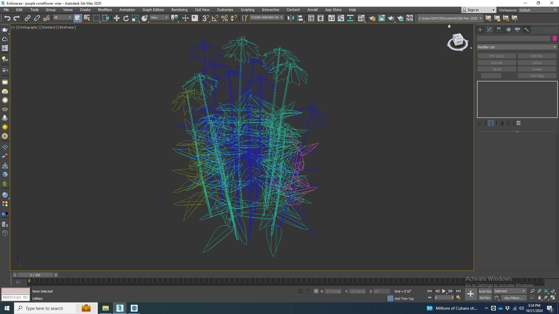 Plant  Echinacea - purple coneflower Low-poly 3D model_8
