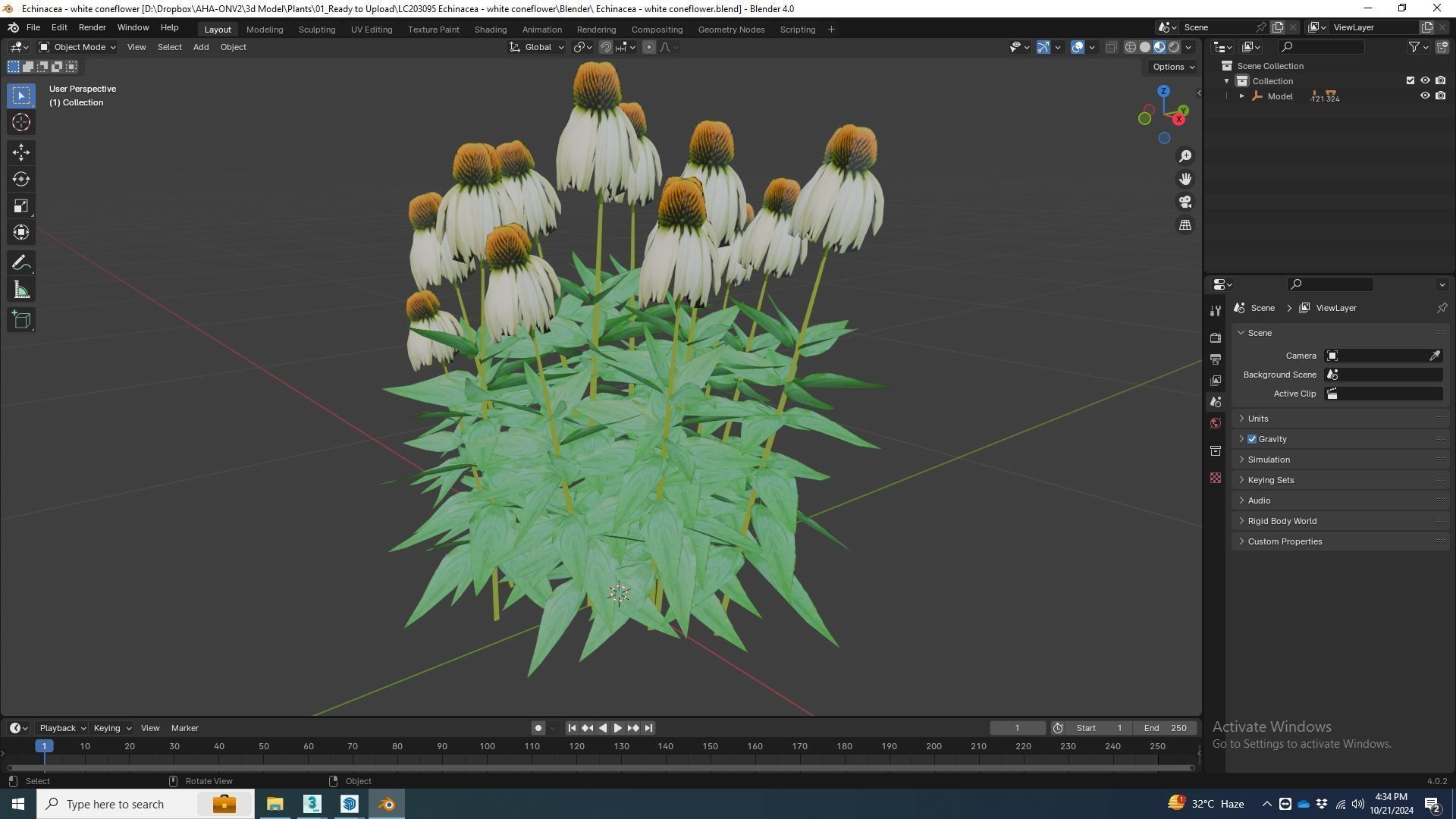 Plant  Echinacea - white coneflower Low-poly 3D model_5