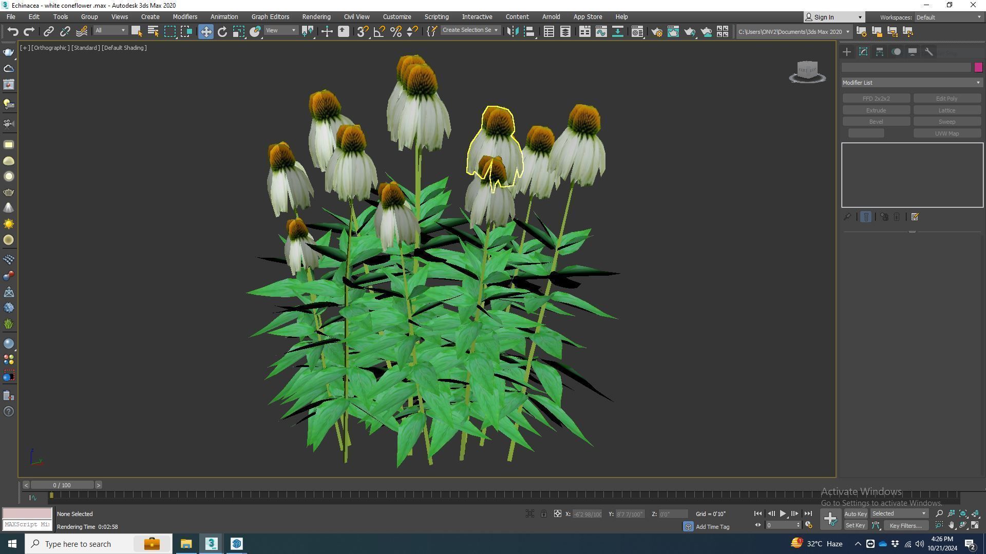 Plant  Echinacea - white coneflower Low-poly 3D model_6