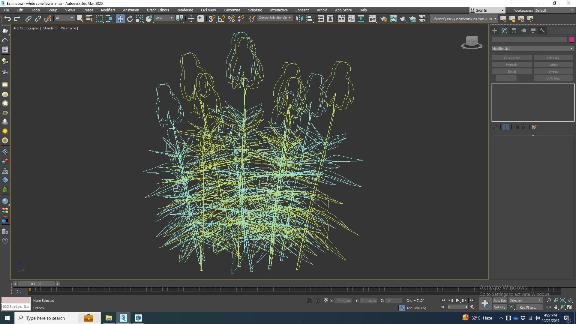 Plant  Echinacea - white coneflower Low-poly 3D model_7