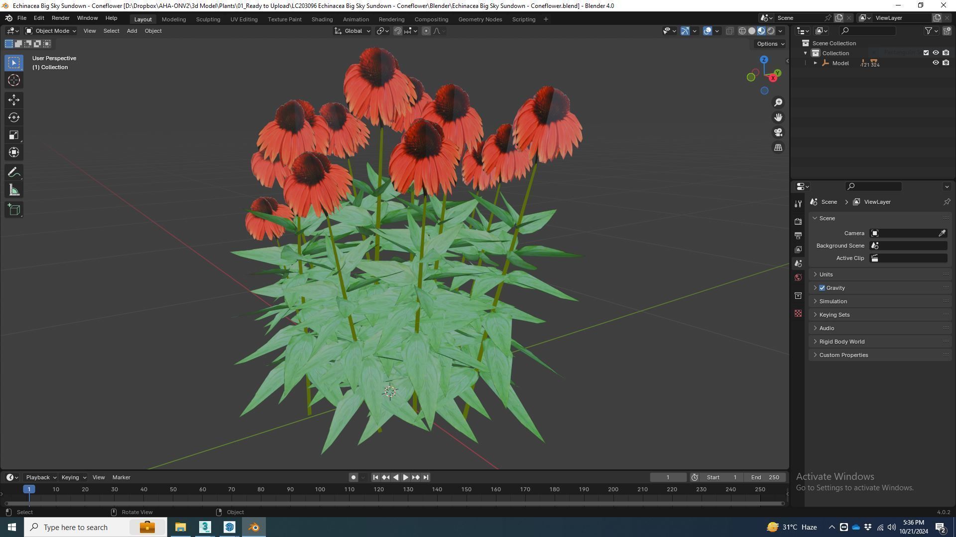 Plant  Echinacea Big Sky Sundown - Coneflower  Low-poly 3D model_5