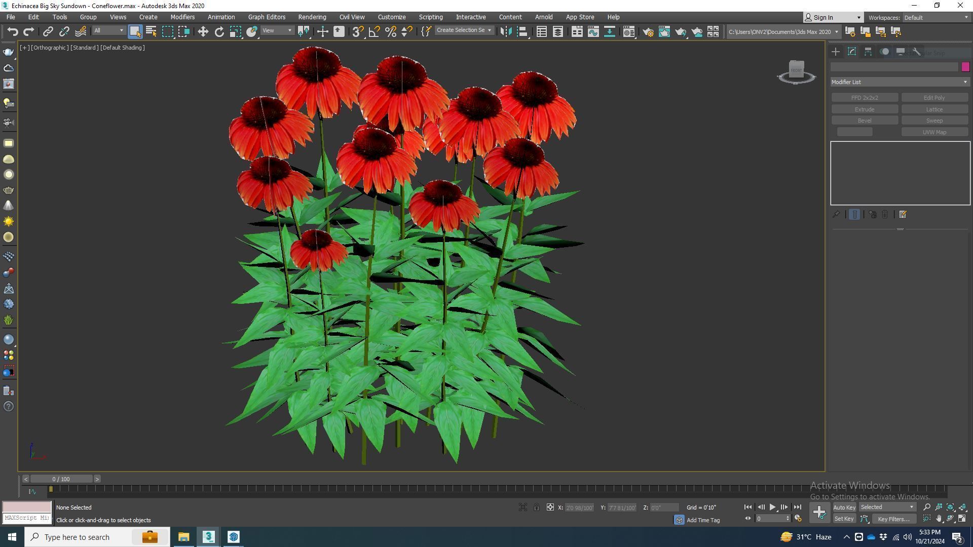 Plant  Echinacea Big Sky Sundown - Coneflower  Low-poly 3D model_7
