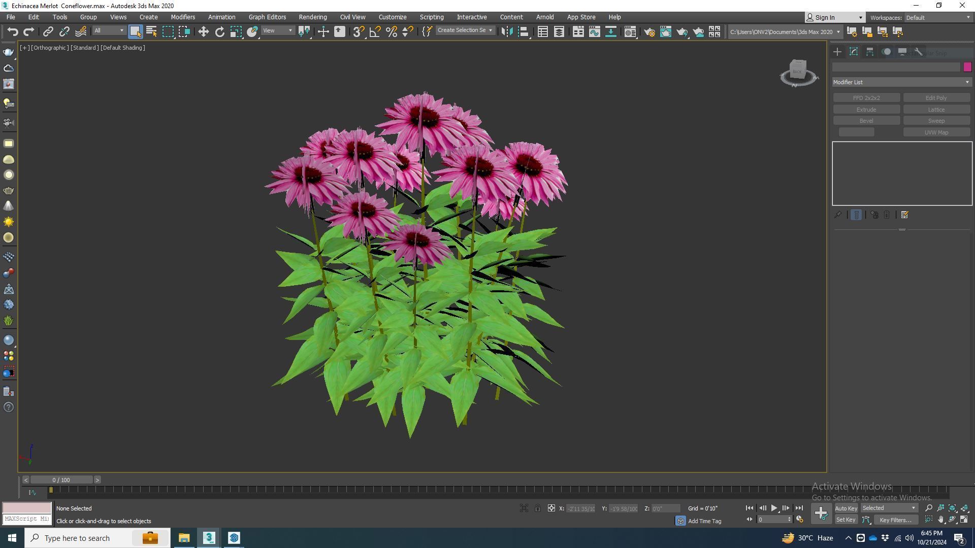 Plant  Echinacea Merlot - Coneflower  Low-poly 3D model_6