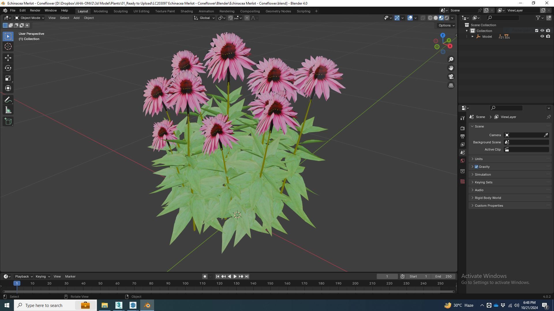 Plant  Echinacea Merlot - Coneflower  Low-poly 3D model_5