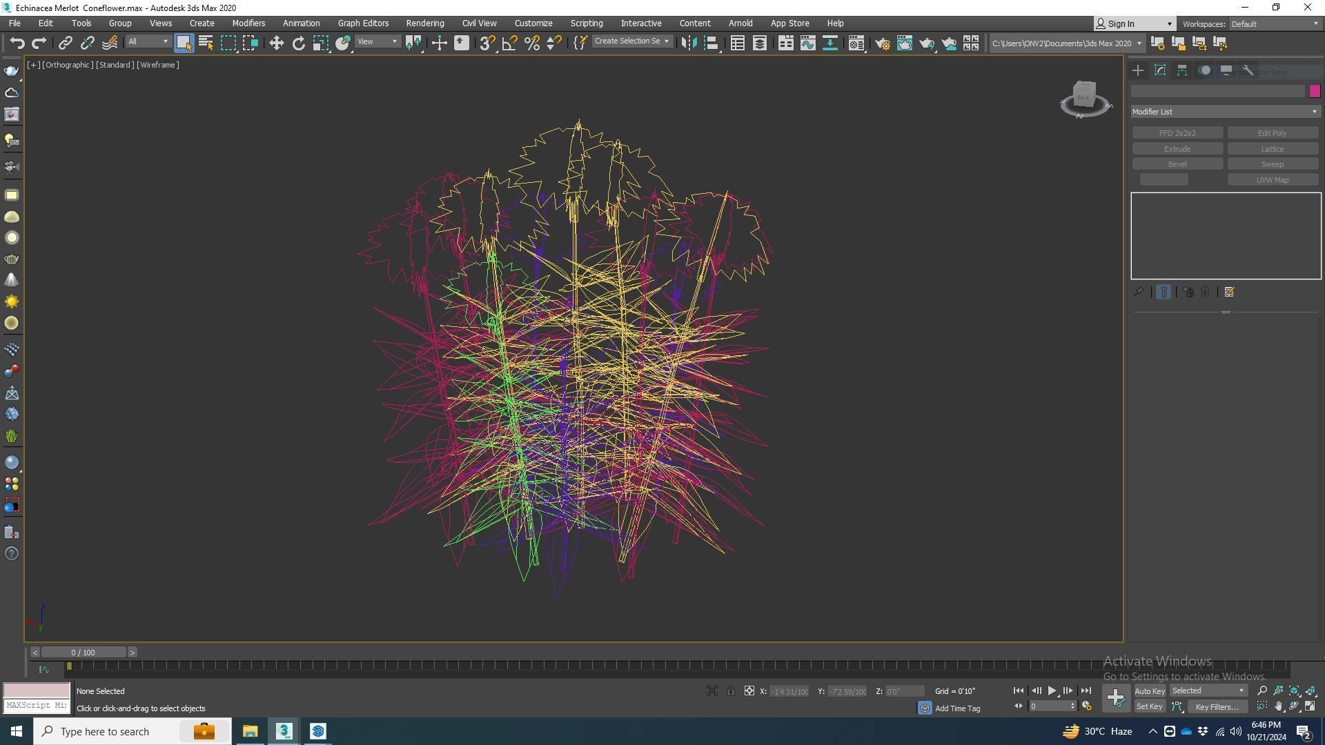 Plant  Echinacea Merlot - Coneflower  Low-poly 3D model_7