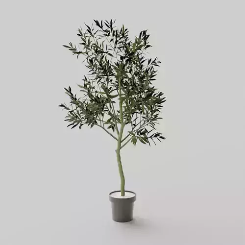 Faux Potted Olive Tree Large