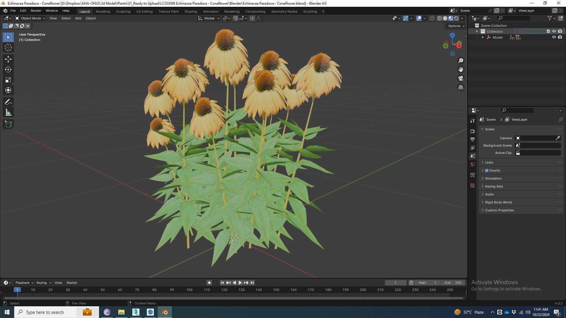 Plant   Echinacea Paradoxa - Coneflower Low-poly 3D model_5