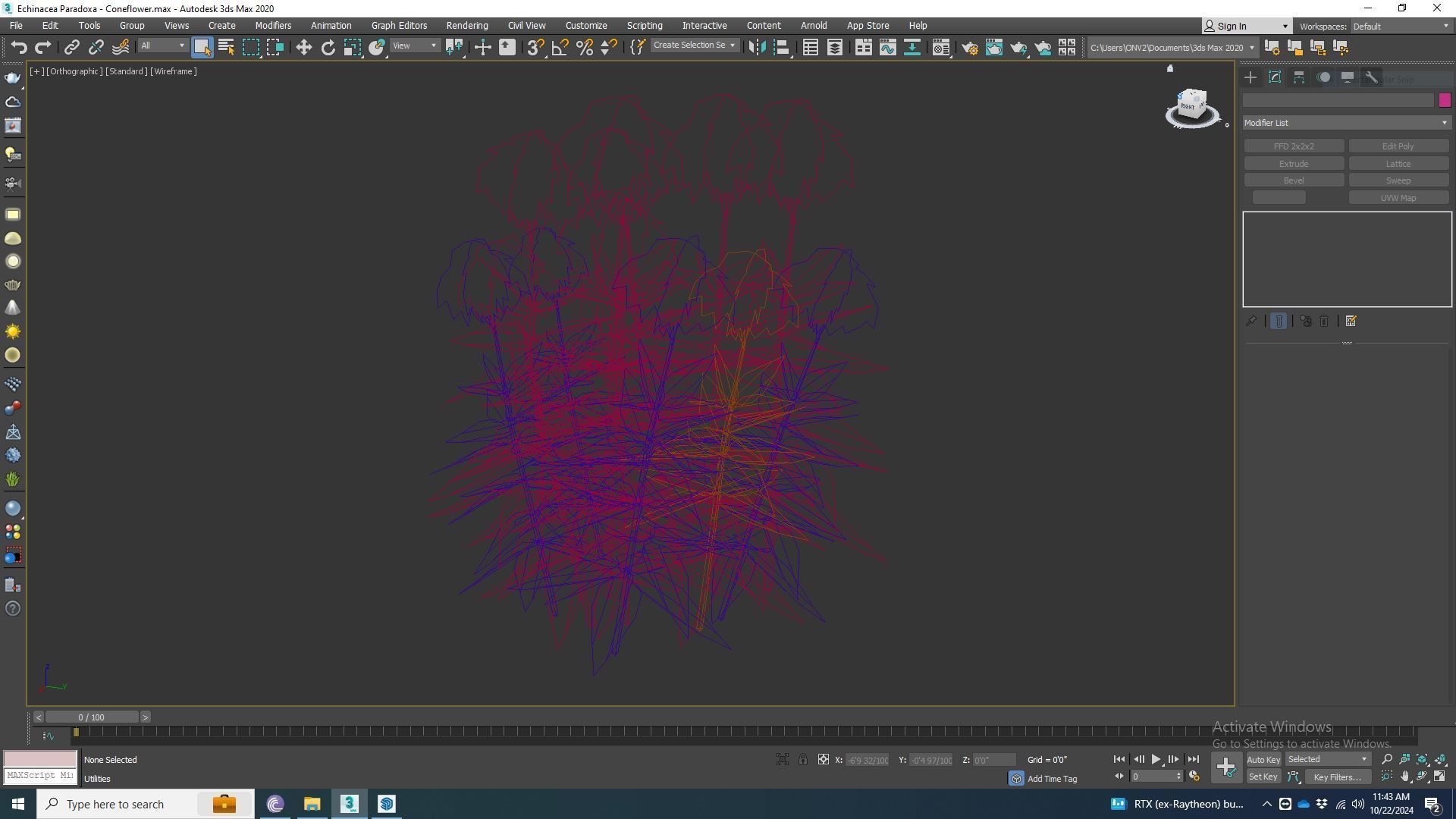 Plant   Echinacea Paradoxa - Coneflower Low-poly 3D model_7