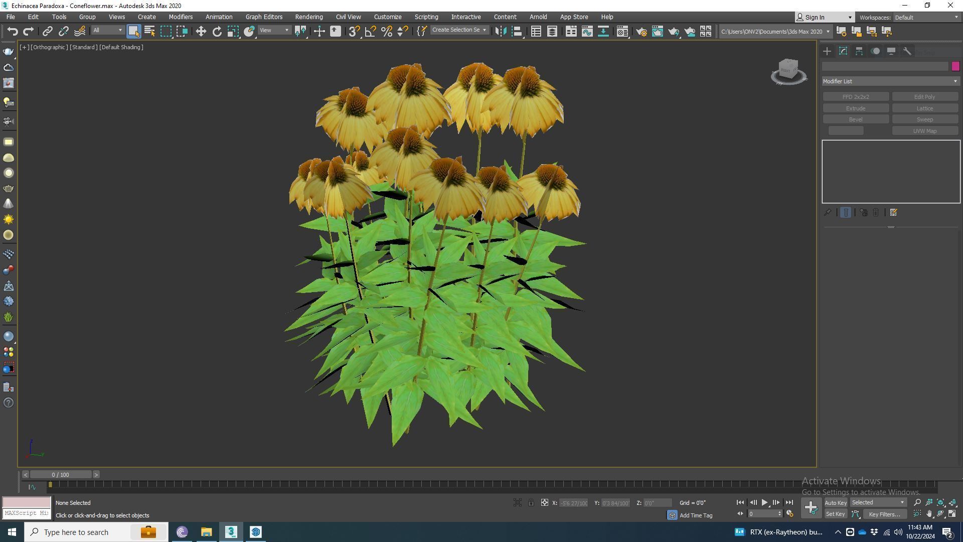 Plant   Echinacea Paradoxa - Coneflower Low-poly 3D model_6