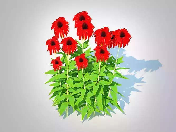 Plant  Echinacea Tomato Soup - Coneflower Low-poly 3D model Plant  Echinacea Tomato Soup - Coneflower Low-poly 3D model
