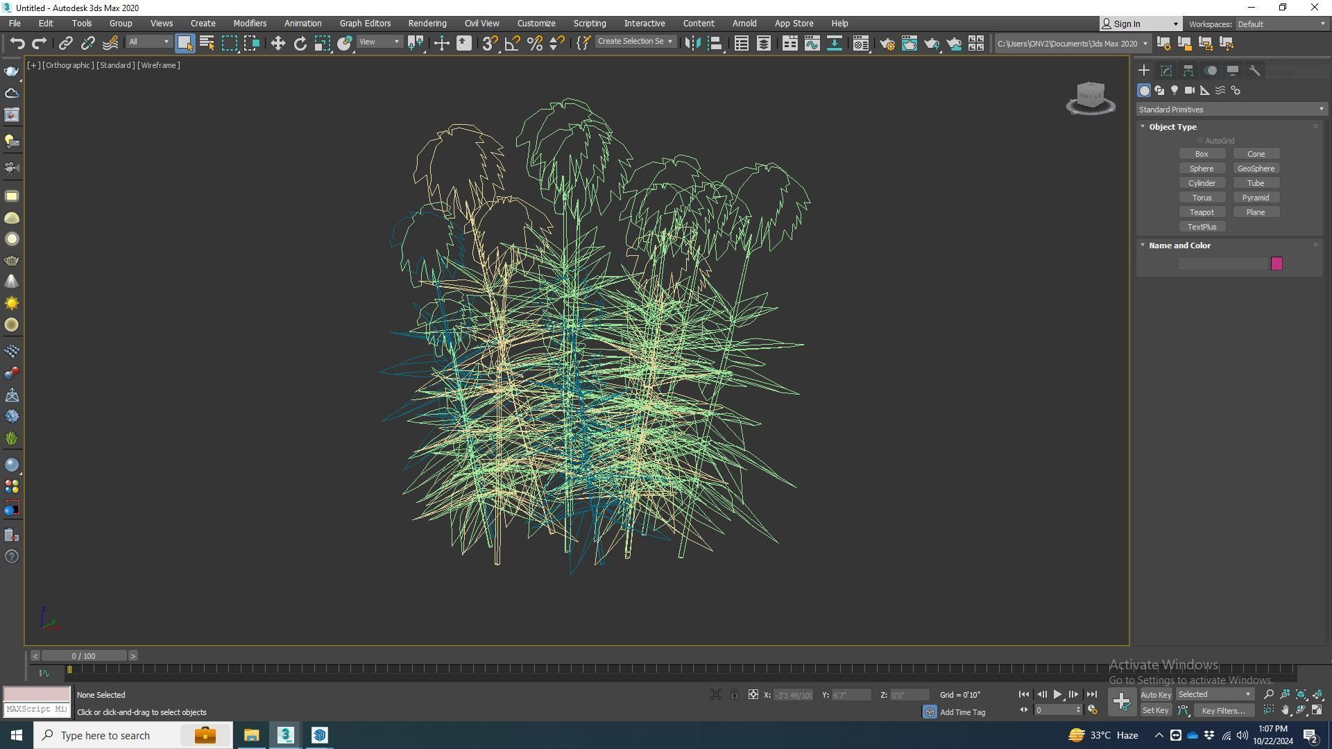 Plant  Echinacea Tomato Soup - Coneflower Low-poly 3D model_7