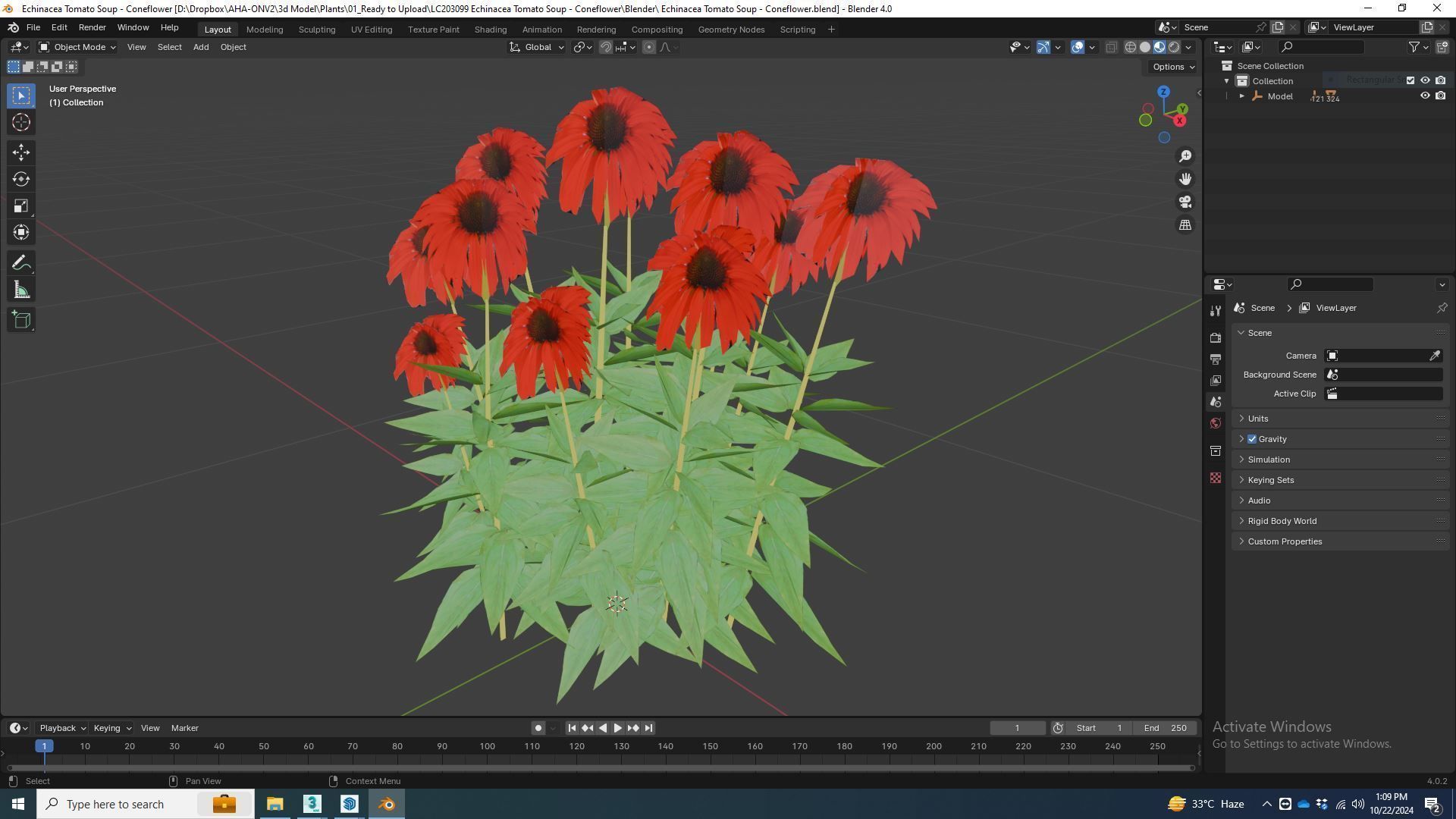 Plant  Echinacea Tomato Soup - Coneflower Low-poly 3D model_5