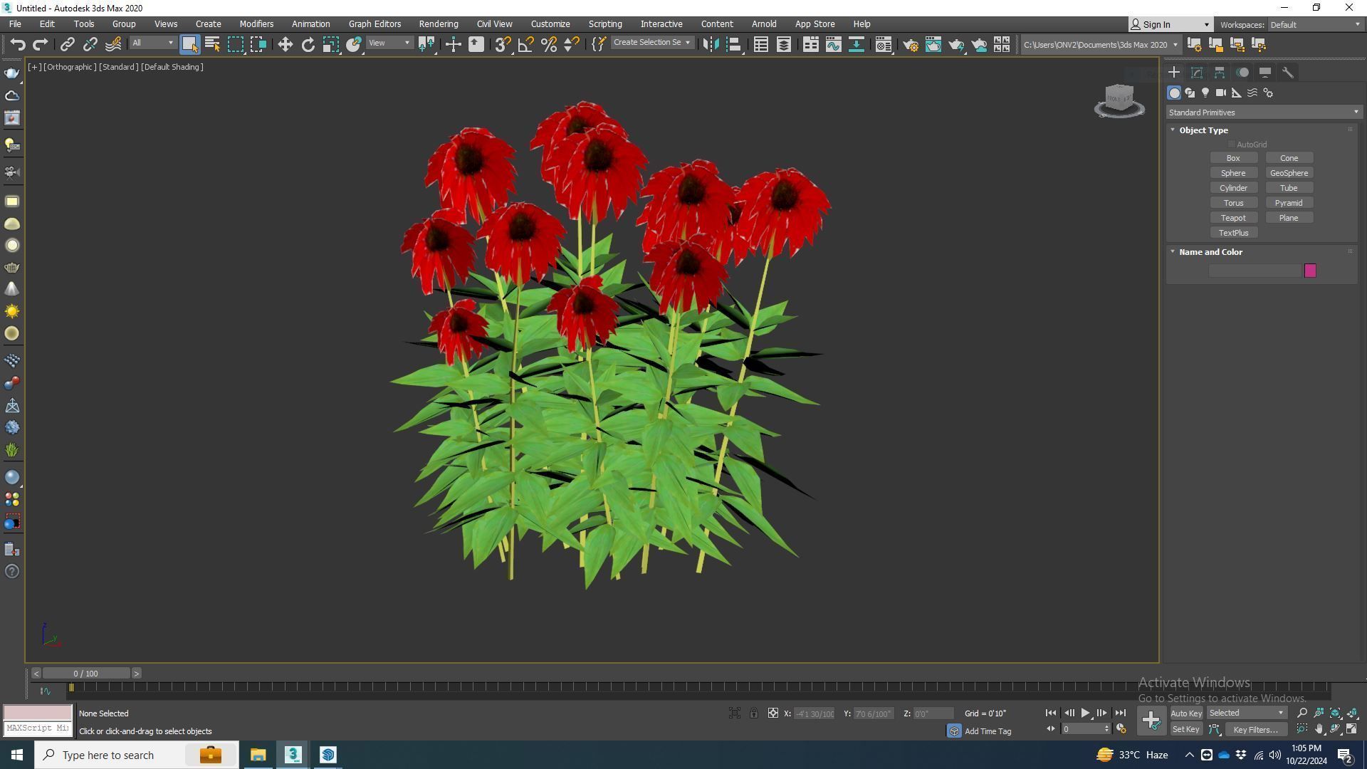 Plant  Echinacea Tomato Soup - Coneflower Low-poly 3D model_6