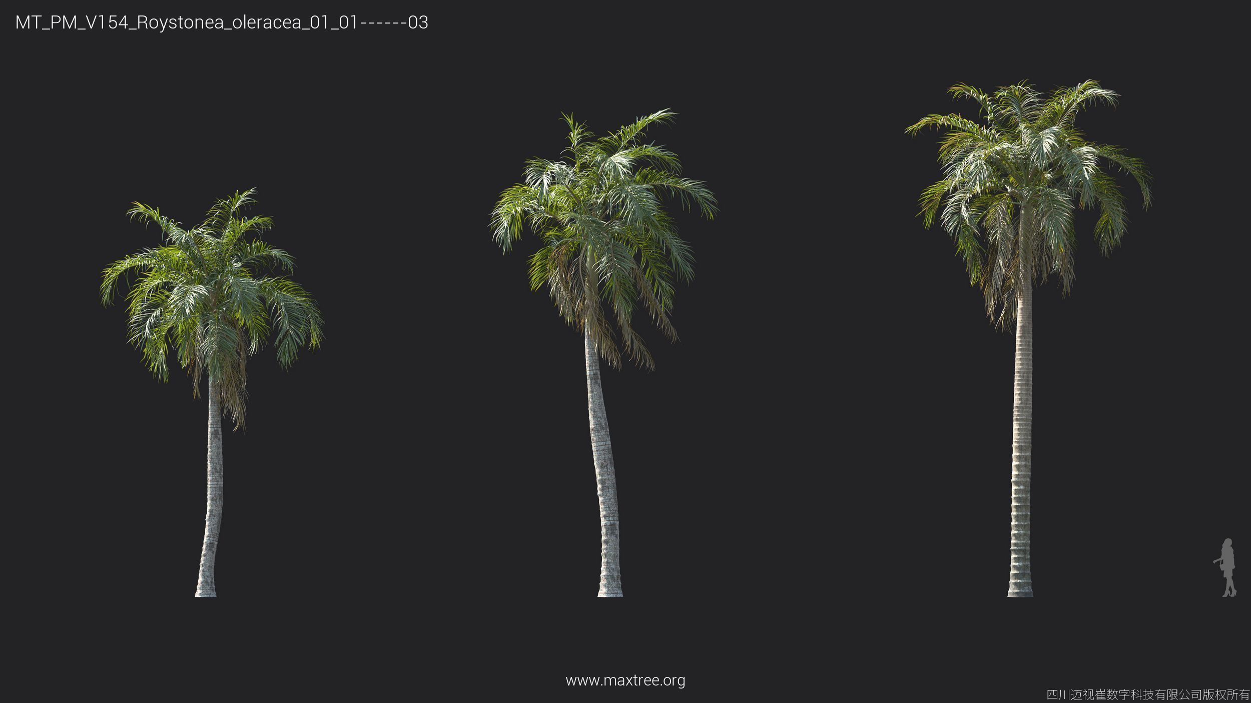 Maxtree Plant Models Vol 154 - Mesh 3D model_20