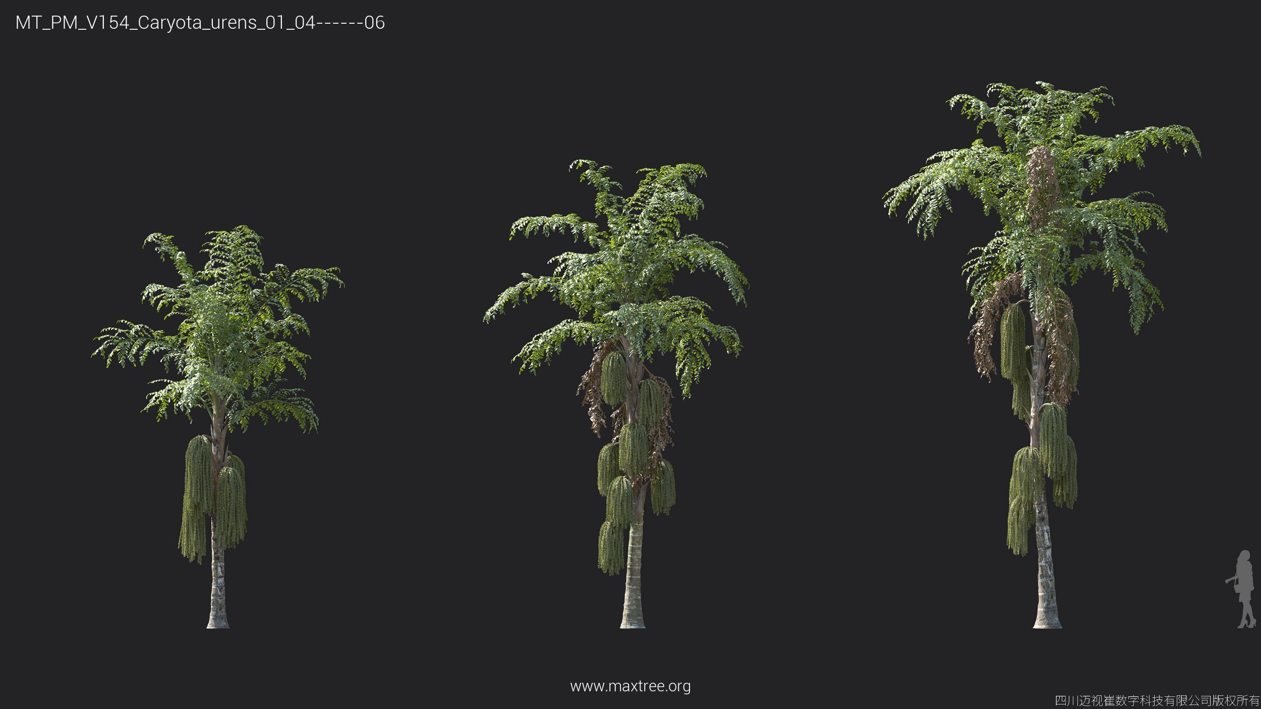 Maxtree Plant Models Vol 154 - Mesh 3D model_27