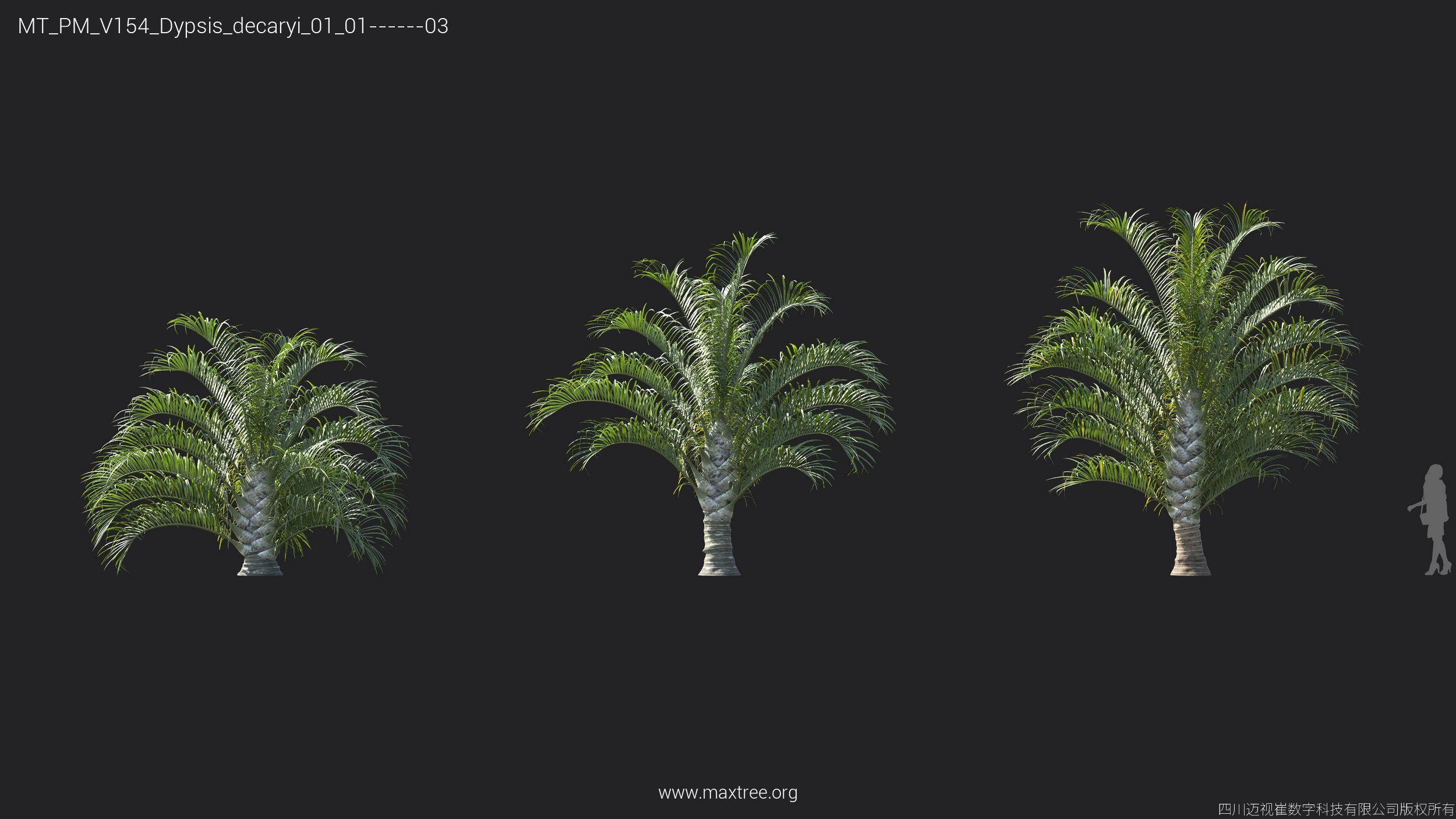 Maxtree Plant Models Vol 154 - Mesh 3D model_28
