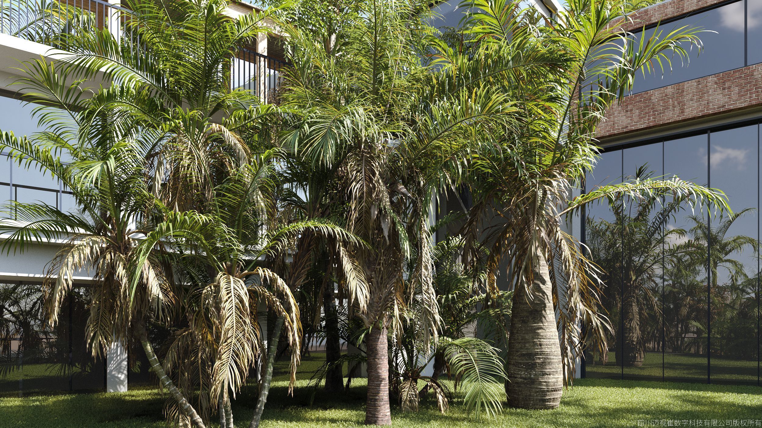 Maxtree Plant Models Vol 154 - Mesh 3D model_3