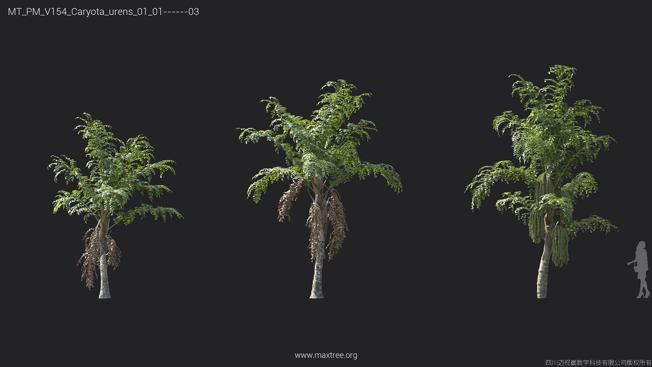 Maxtree Plant Models Vol 154 - Mesh 3D model_21
