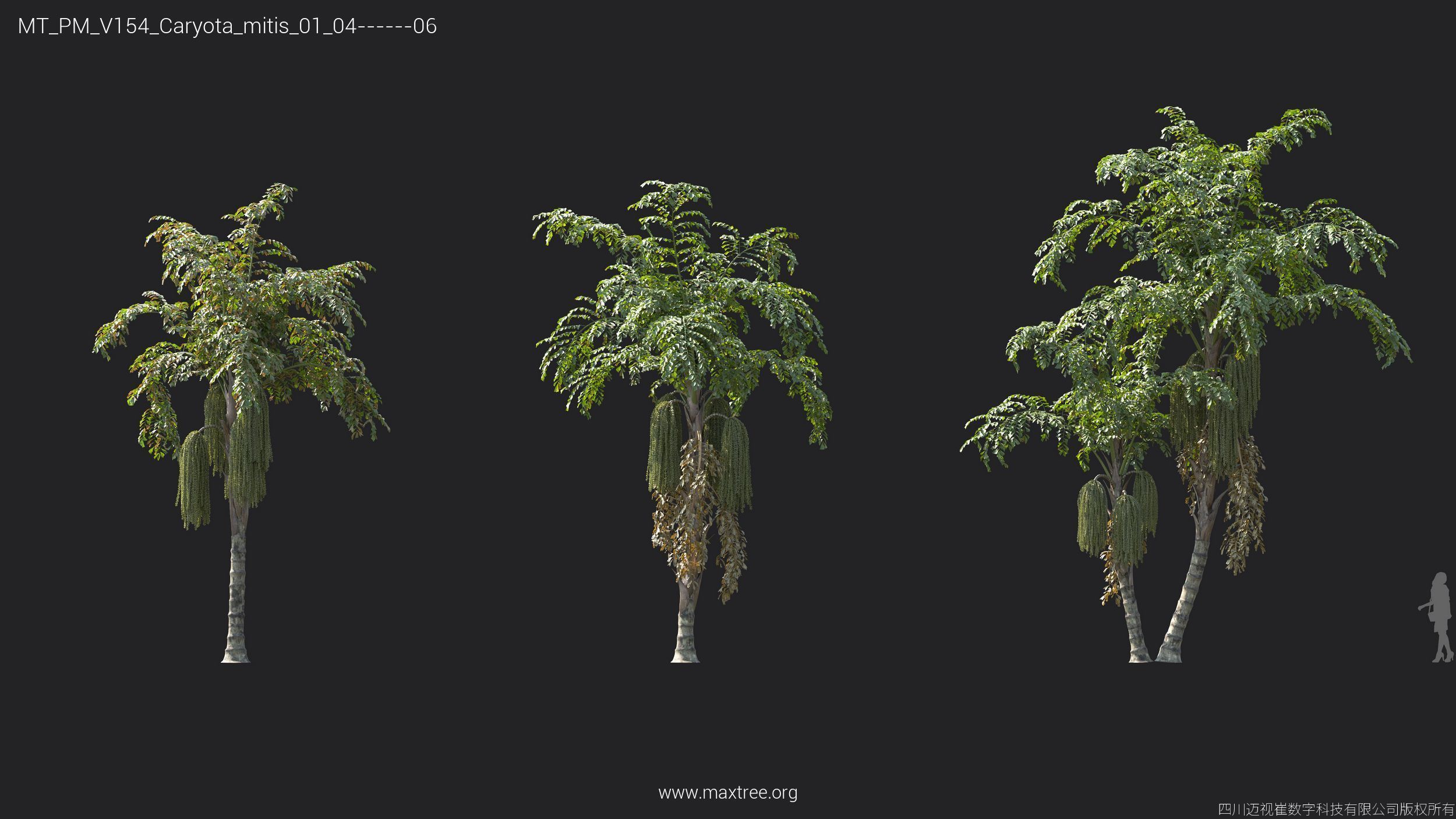 Maxtree Plant Models Vol 154 - Mesh 3D model_34