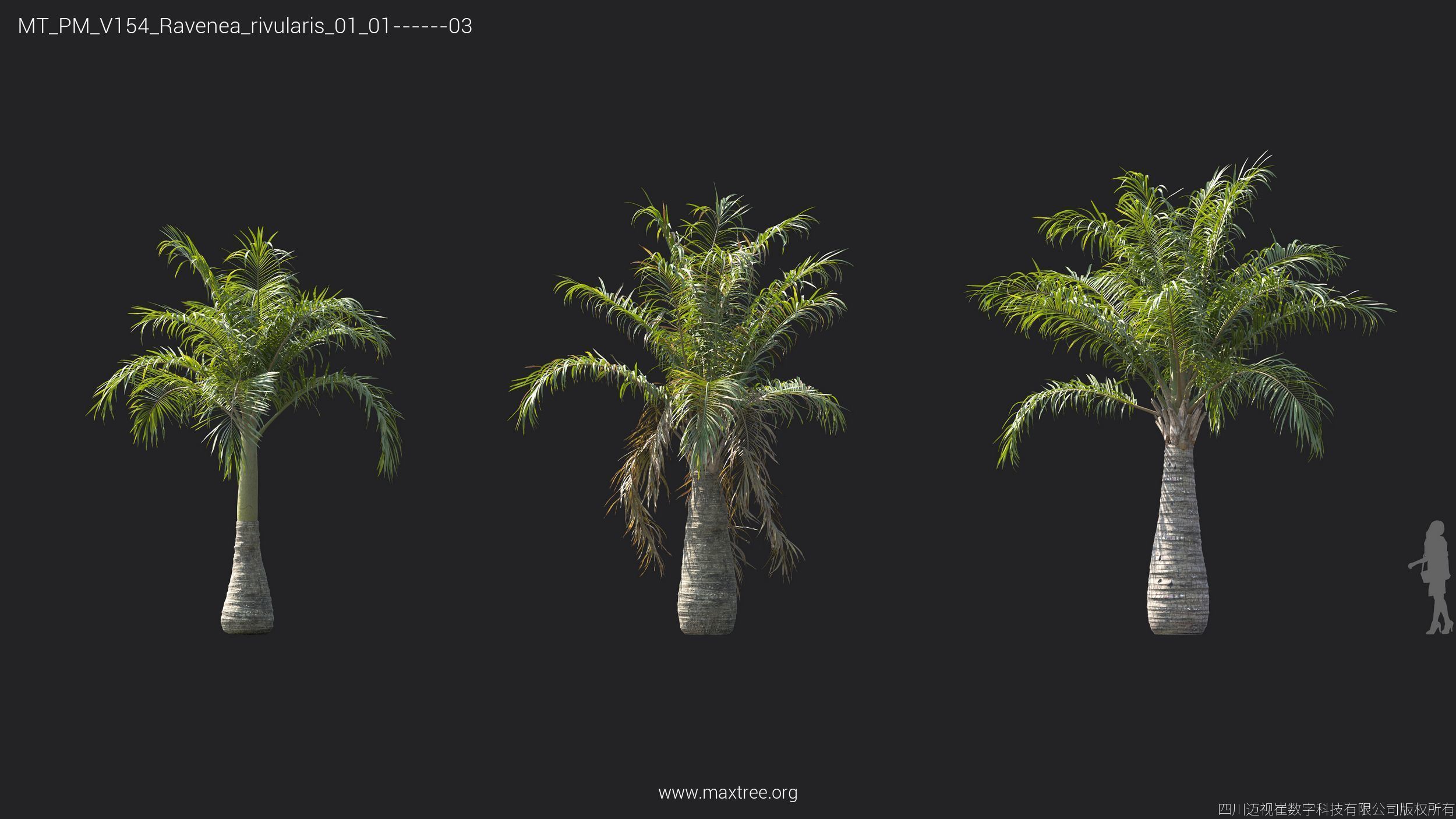 Maxtree Plant Models Vol 154 - Mesh 3D model_7