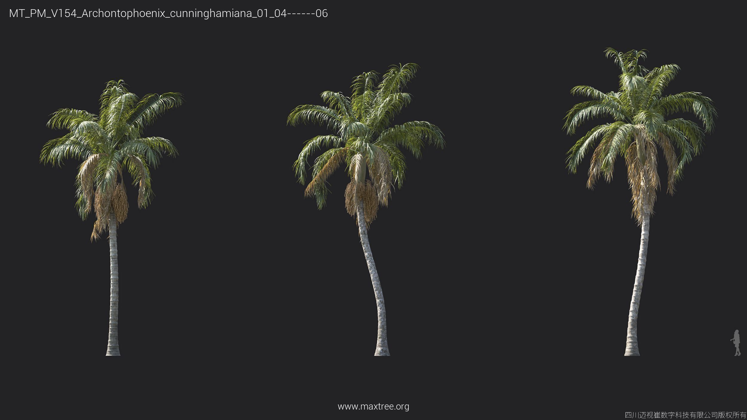 Maxtree Plant Models Vol 154 - Mesh 3D model_18