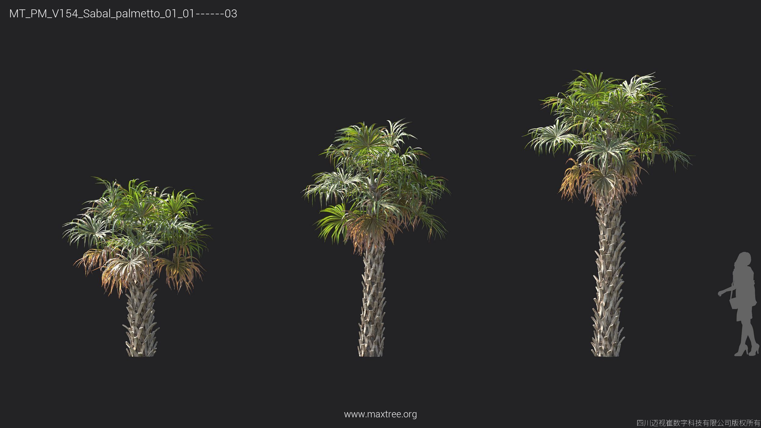 Maxtree Plant Models Vol 154 - Mesh 3D model_32