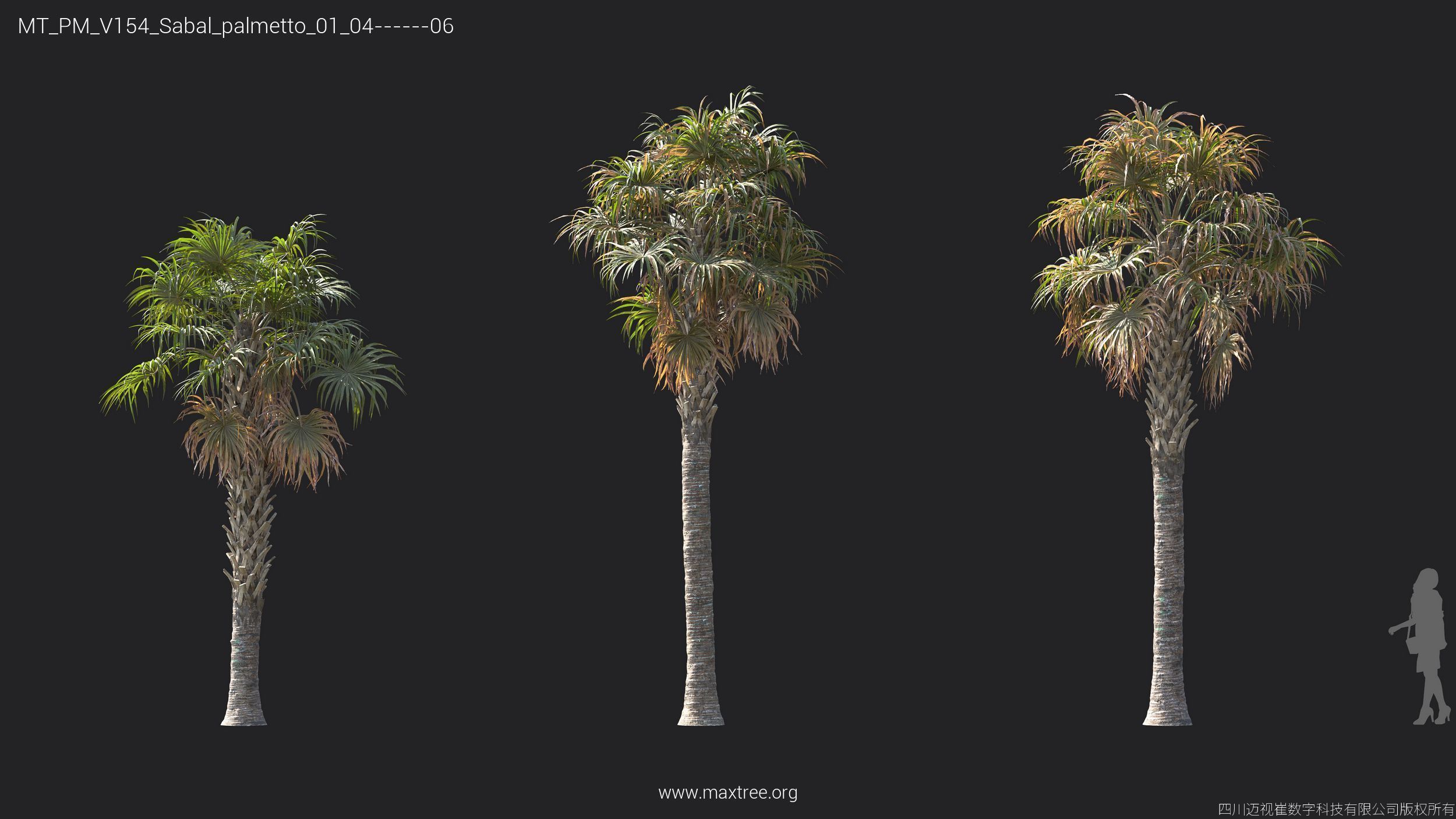 Maxtree Plant Models Vol 154 - Mesh 3D model_11