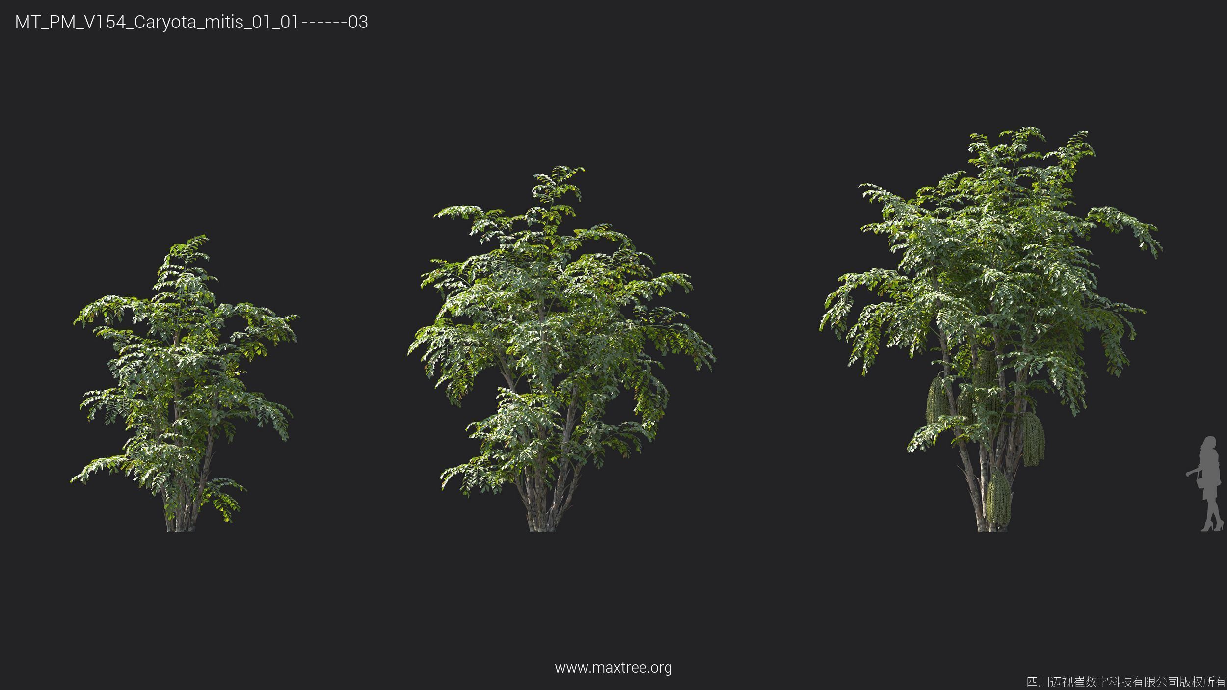 Maxtree Plant Models Vol 154 - Mesh 3D model_22