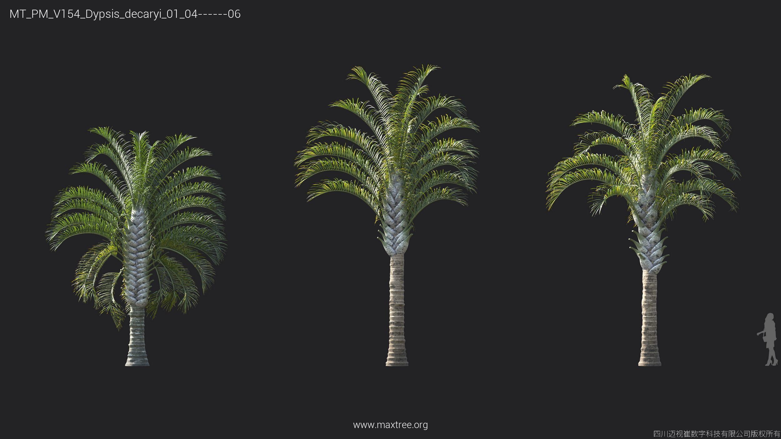 Maxtree Plant Models Vol 154 - Mesh 3D model_30