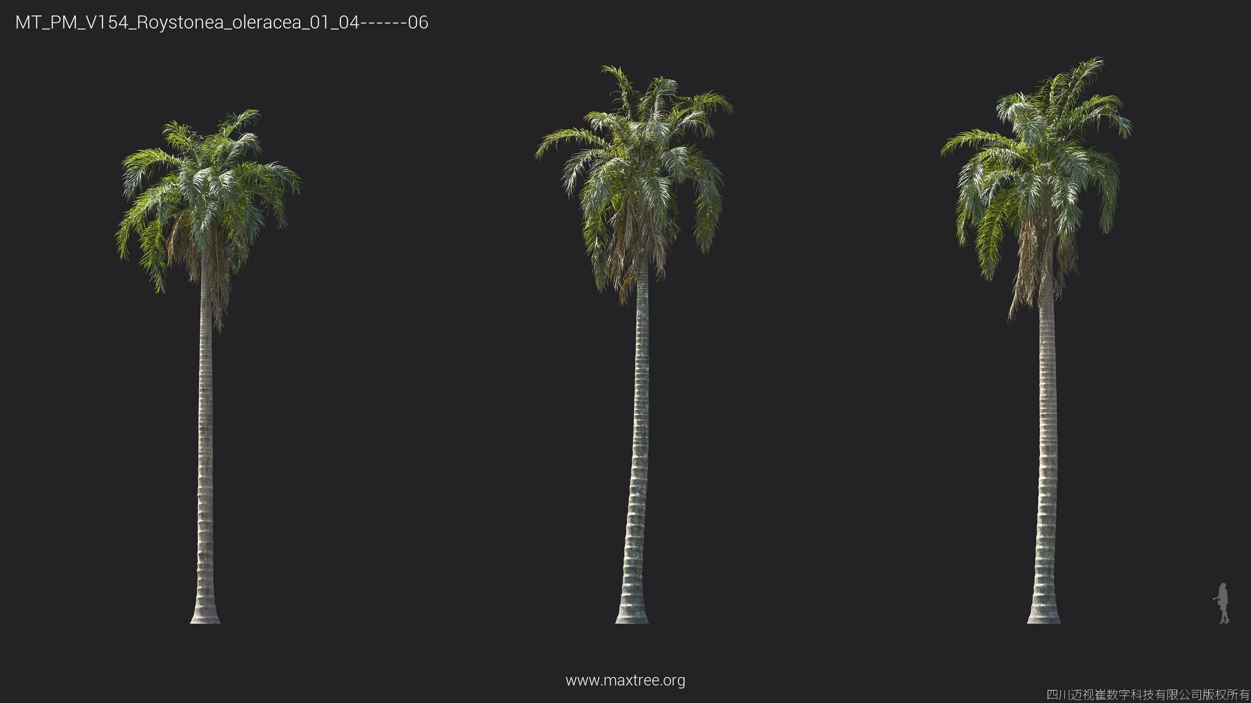Maxtree Plant Models Vol 154 - Mesh 3D model_26