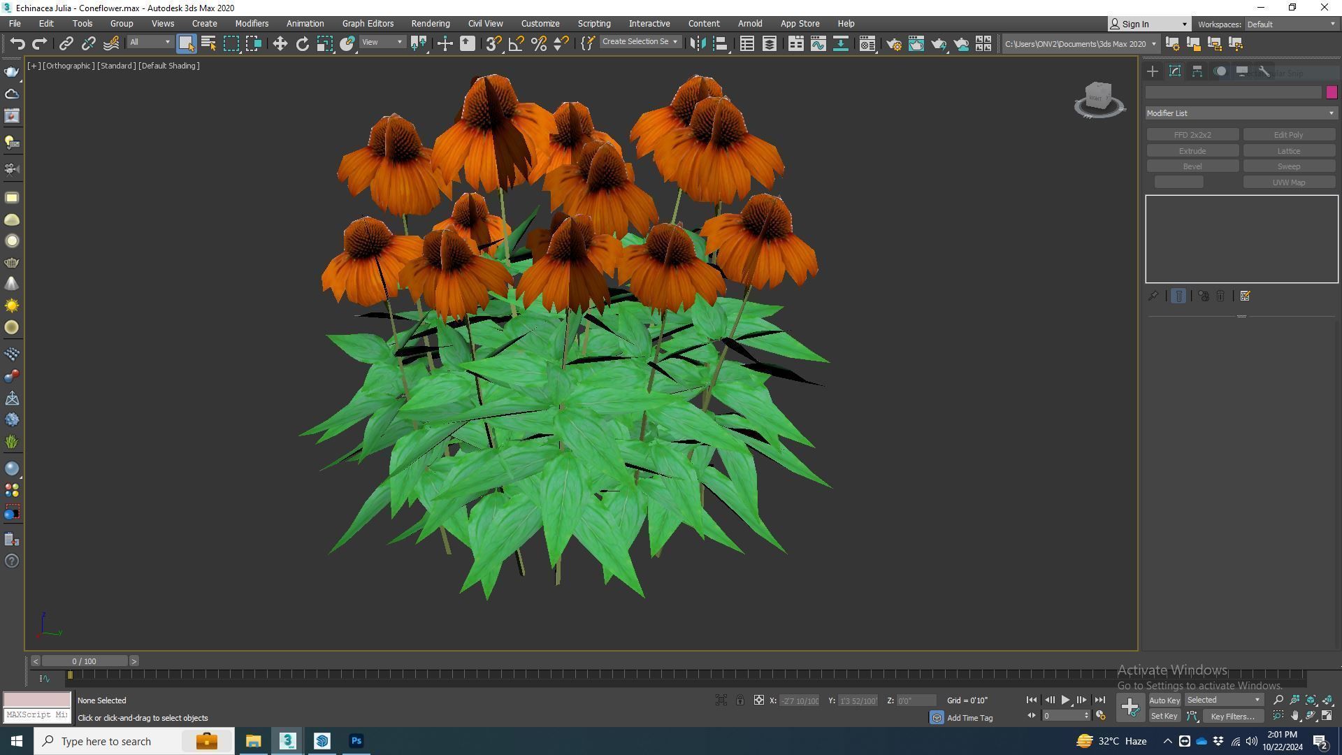 Plant  Echinacea Julia - Coneflower Low-poly 3D model_5