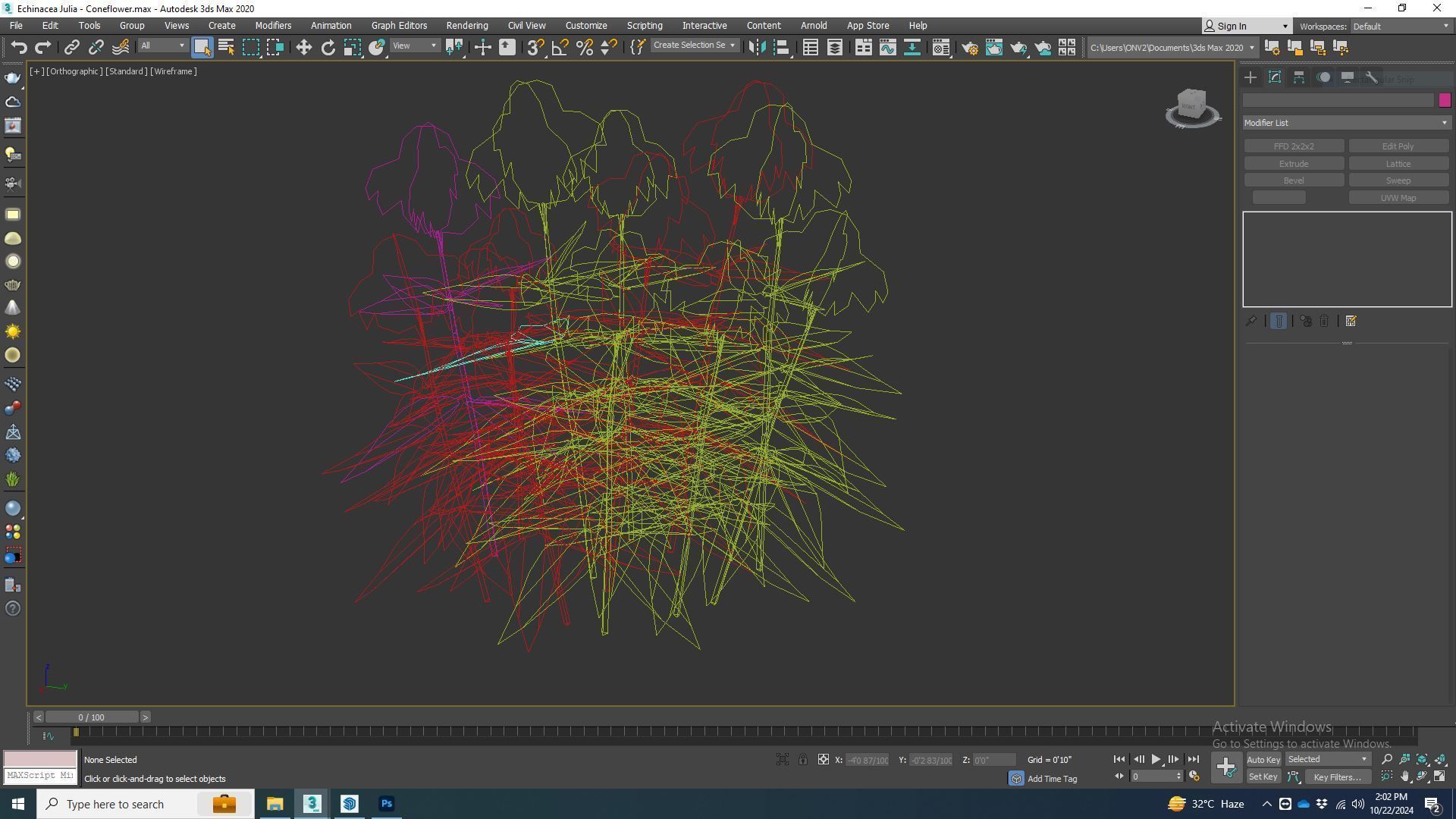 Plant  Echinacea Julia - Coneflower Low-poly 3D model_6
