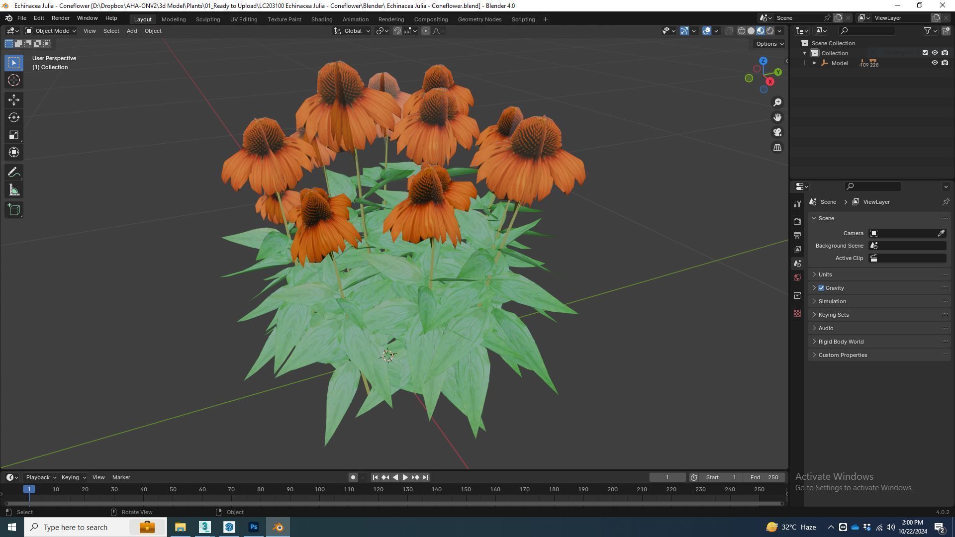 Plant  Echinacea Julia - Coneflower Low-poly 3D model_7